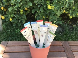 Plant Stakes IMG 1161